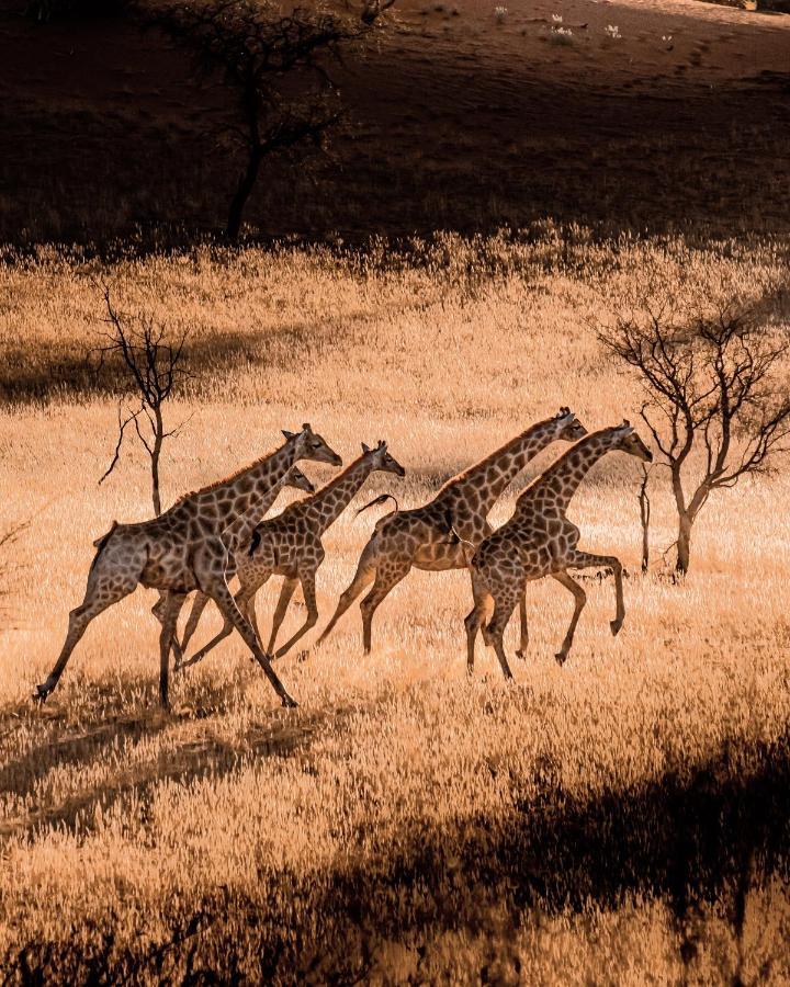 Bagatelle Kalahari Game Ranch Villa Hardap Eksteriør bilde