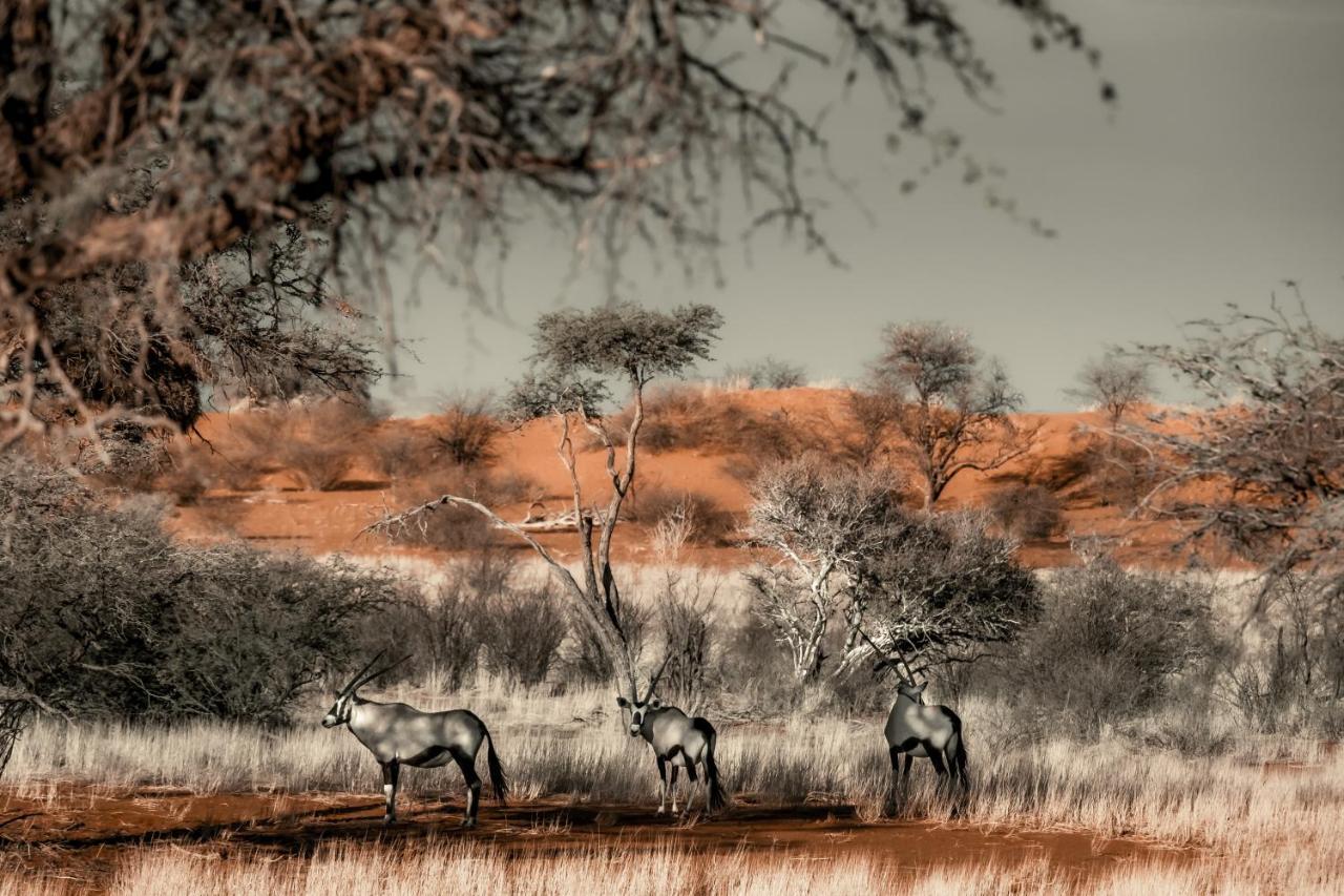 Bagatelle Kalahari Game Ranch Villa Hardap Eksteriør bilde
