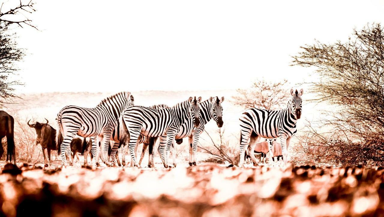 Bagatelle Kalahari Game Ranch Villa Hardap Eksteriør bilde