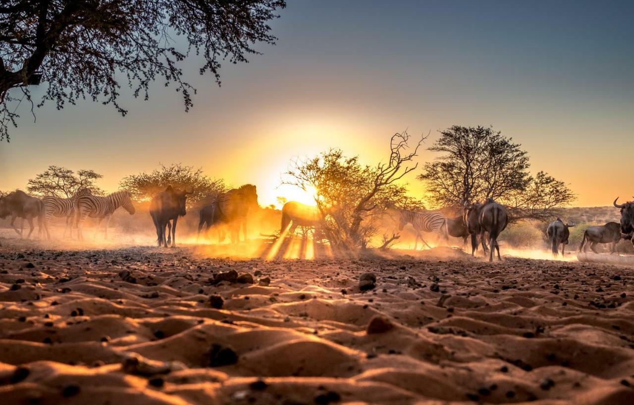 Bagatelle Kalahari Game Ranch Villa Hardap Eksteriør bilde