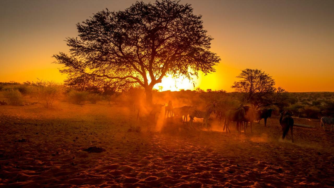 Bagatelle Kalahari Game Ranch Villa Hardap Eksteriør bilde