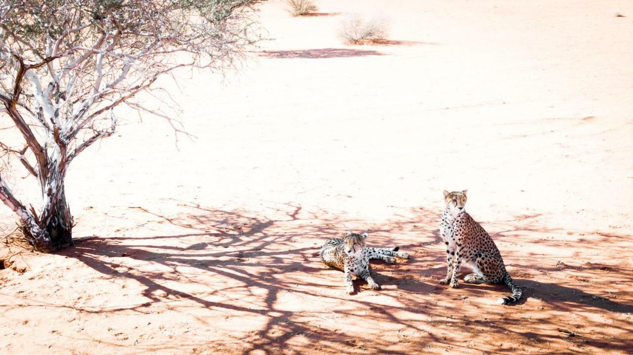 Bagatelle Kalahari Game Ranch Villa Hardap Eksteriør bilde