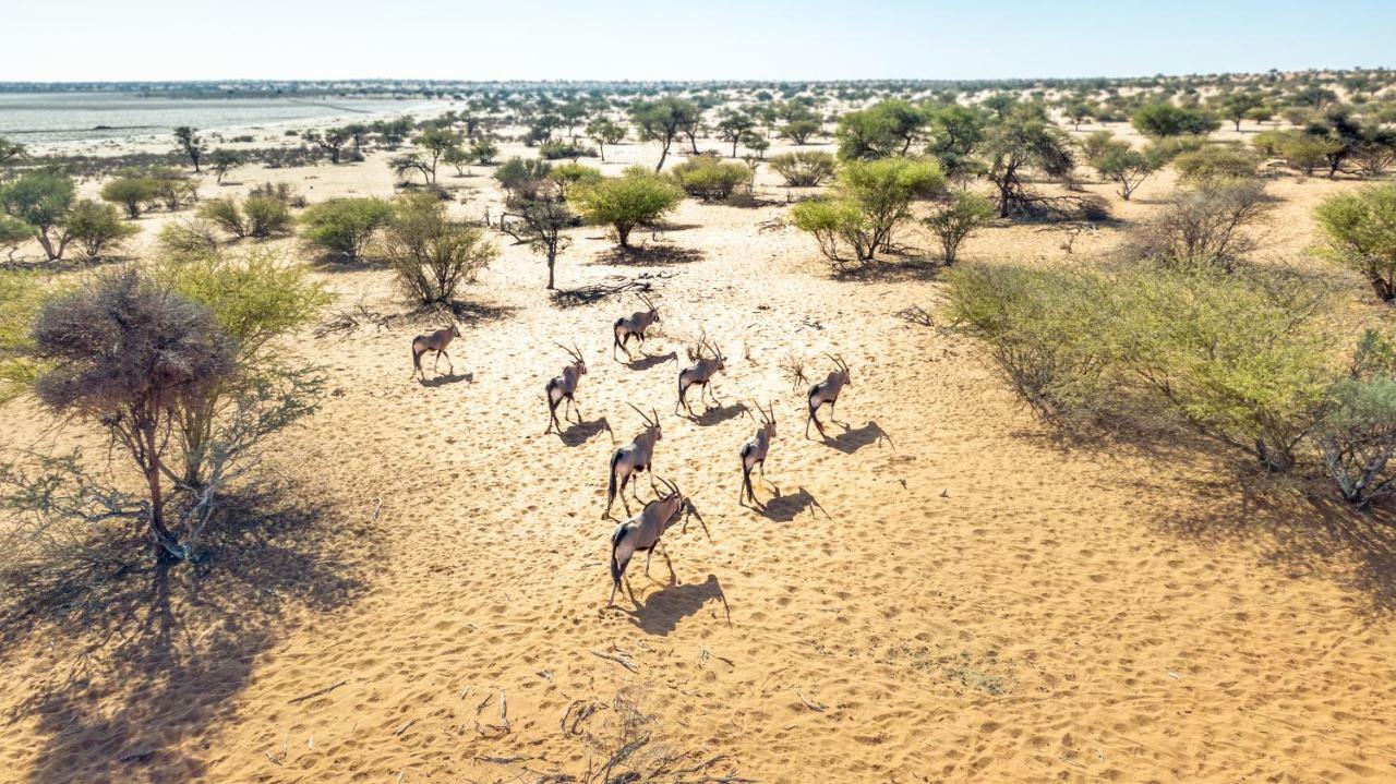 Bagatelle Kalahari Game Ranch Villa Hardap Eksteriør bilde